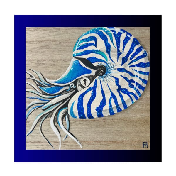 A blue and white nautilus shell on top of a wooden floor.